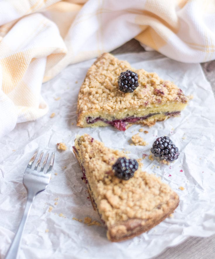 Blackberry Lemon Crumb Cake Recipe | Light, Sweet, and Crumbly