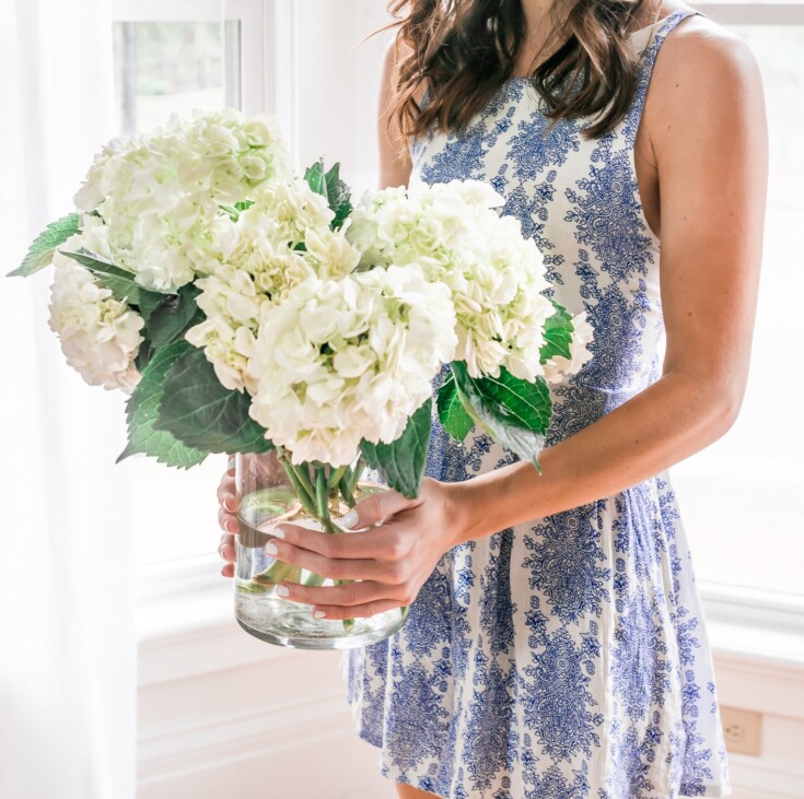 How to Revive Wilted Hydrangeas