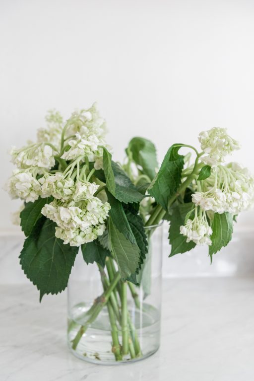 how to revive hydrangeas // cut hydrangeas wilting // hydrangeas died overnight