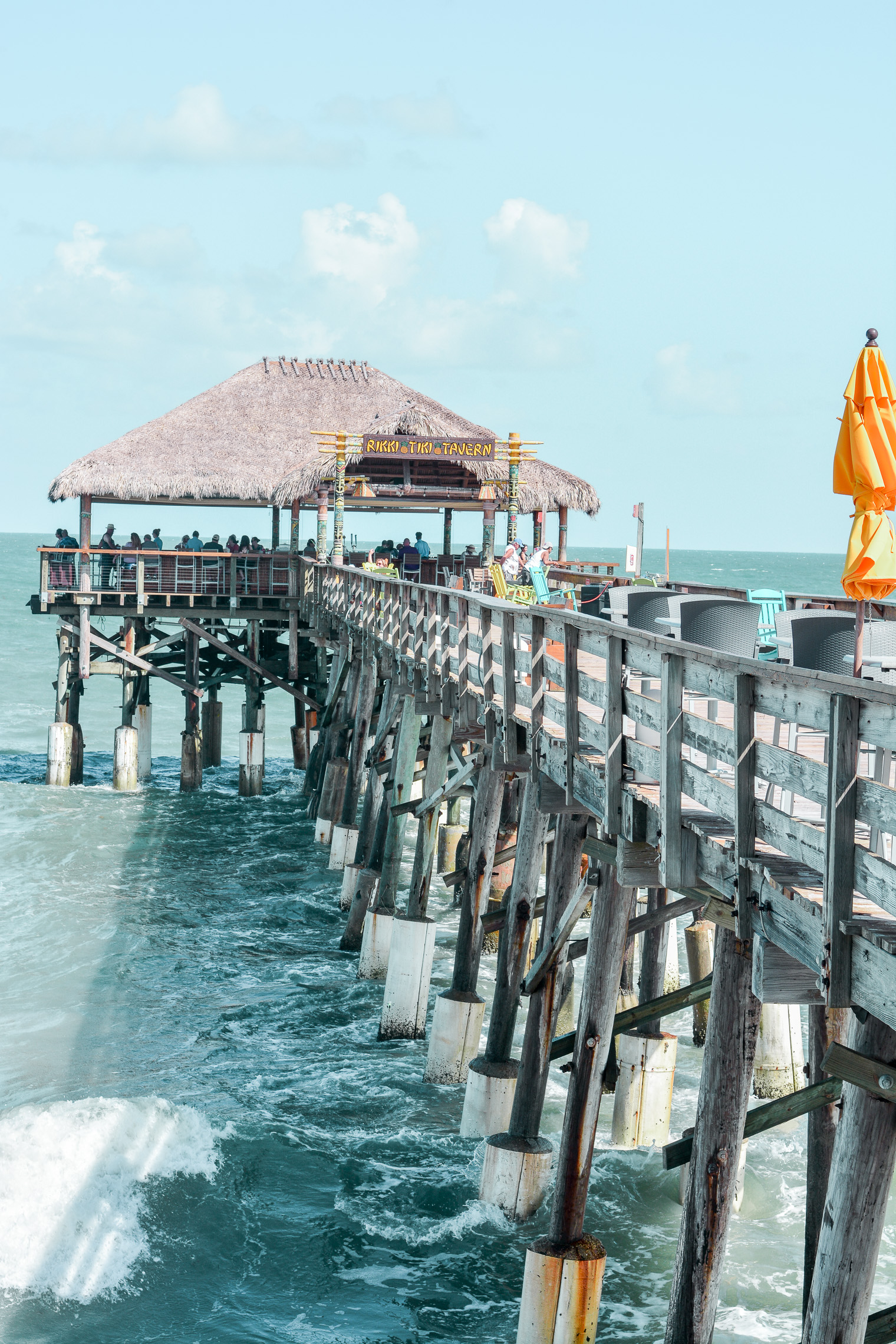 is cocoa beach pier dog friendly