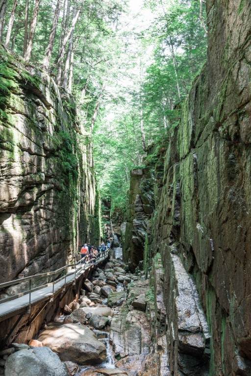 the flume gorge // the flume trail // the basin nh