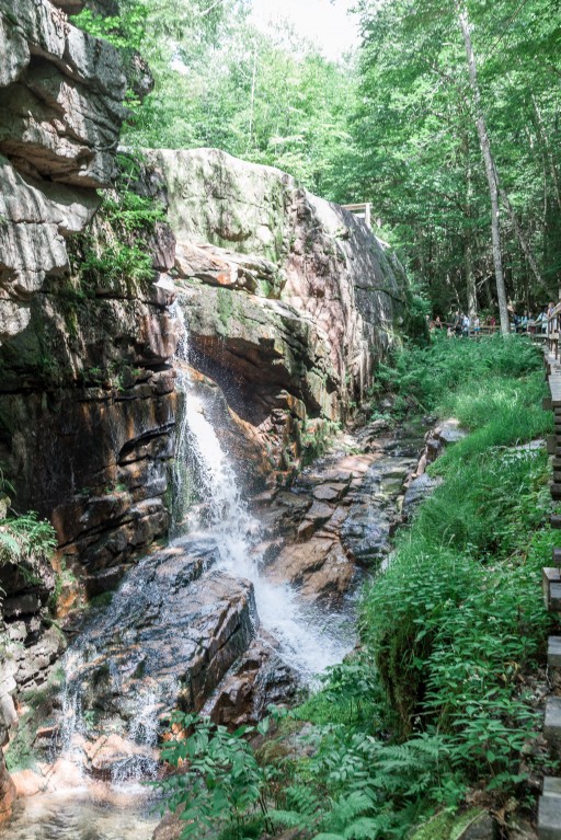 the flume gorge // the flume trail // the basin nh