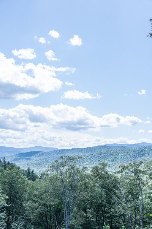 the flume gorge // the flume trail // the basin nh