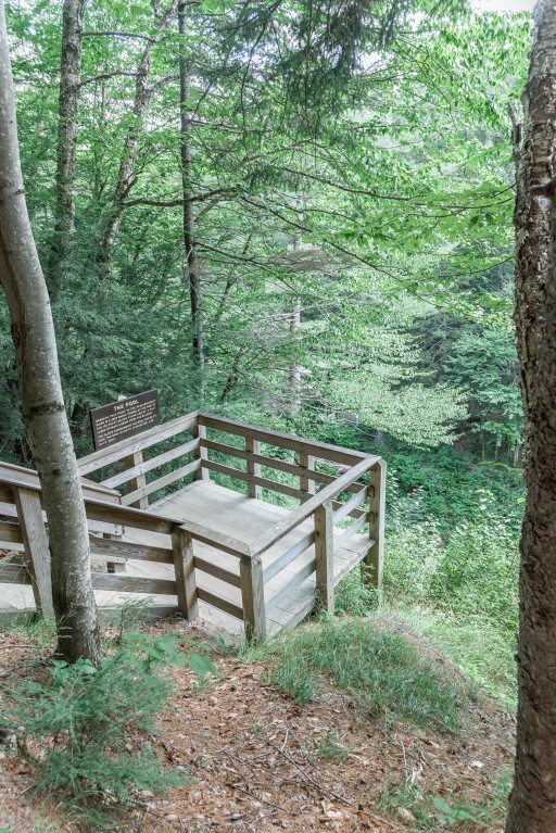 the flume gorge // the flume trail // the basin nh