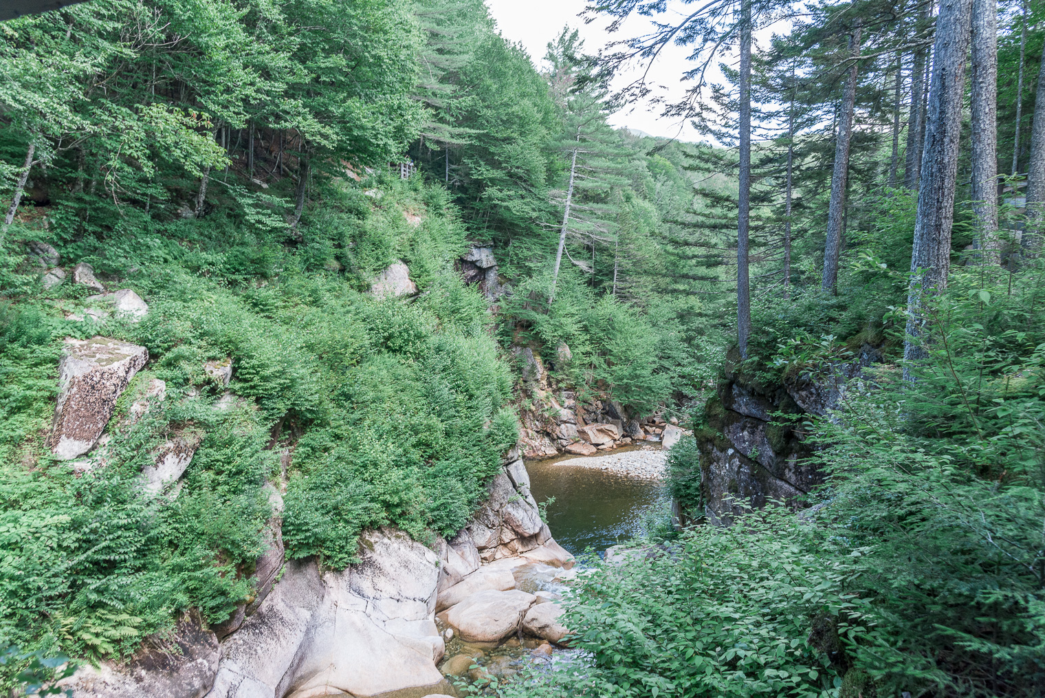 flume gorge 1 (76 of 51)