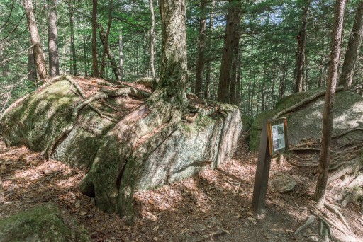 the flume gorge // the flume trail // the basin nh