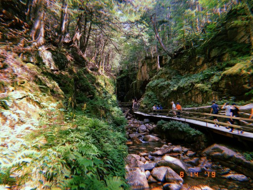 flume gorge new hampshire