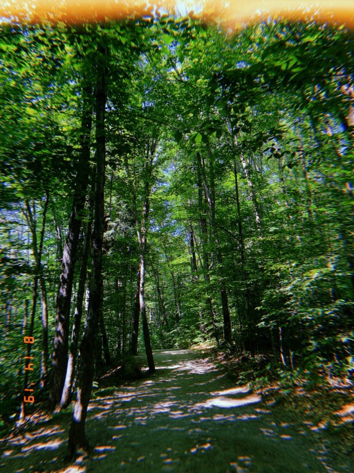 flume gorge new hampshire