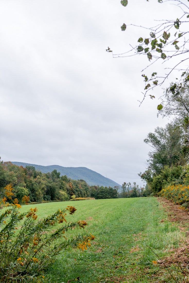 Visiting the Guest House at Field Farm in Williamstown Massachusetts