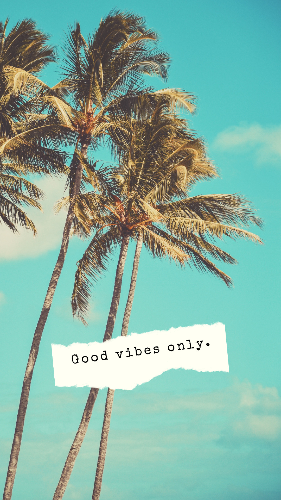 Phone Wallpaper summer sea - palm trees background - vibes motivational