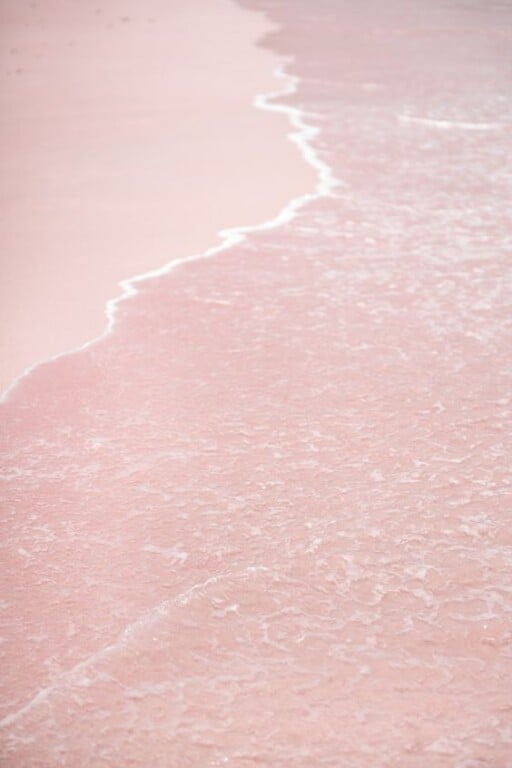 50 Stunning Pink Wallpaper Backgrounds For Iphone