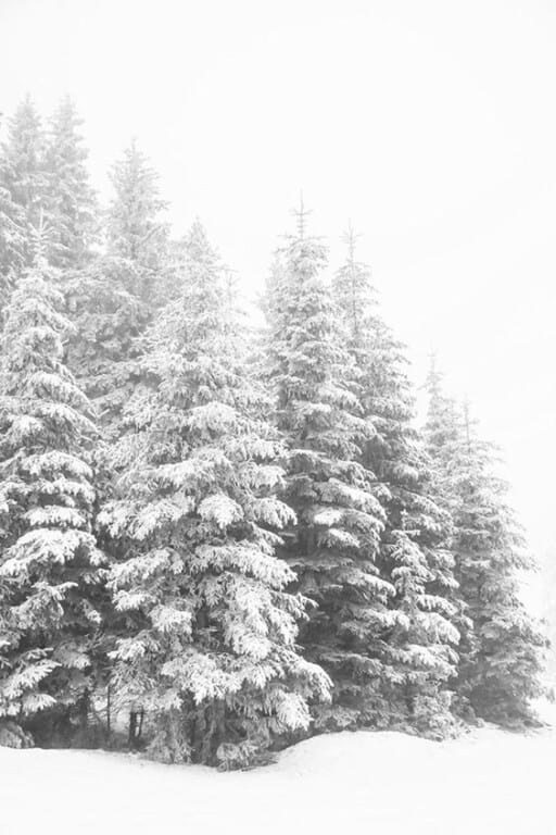 Free: Winter snow aesthetic iPhone wallpaper