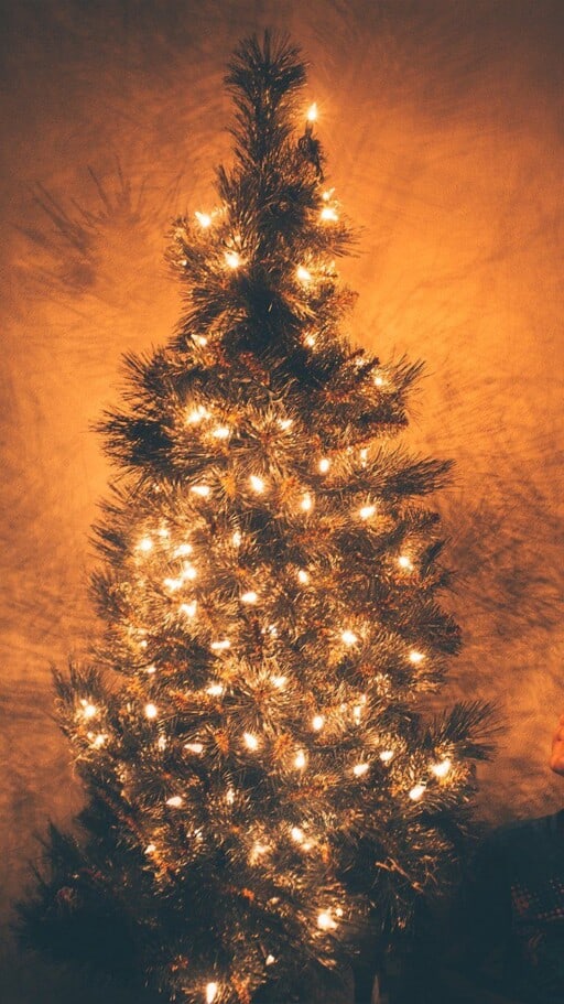 Free download Christmas iPhone Wallpaper HDLive4K Free Download 564x1001  for your Desktop Mobile  Tablet  Explore 30 IPhone 12 Pro 4K Christmas  Wallpapers  iPhone 11 Pro 4k 2020 Wallpapers iPhone 12 Wallpapers iPhone  12 Pro Wallpapers