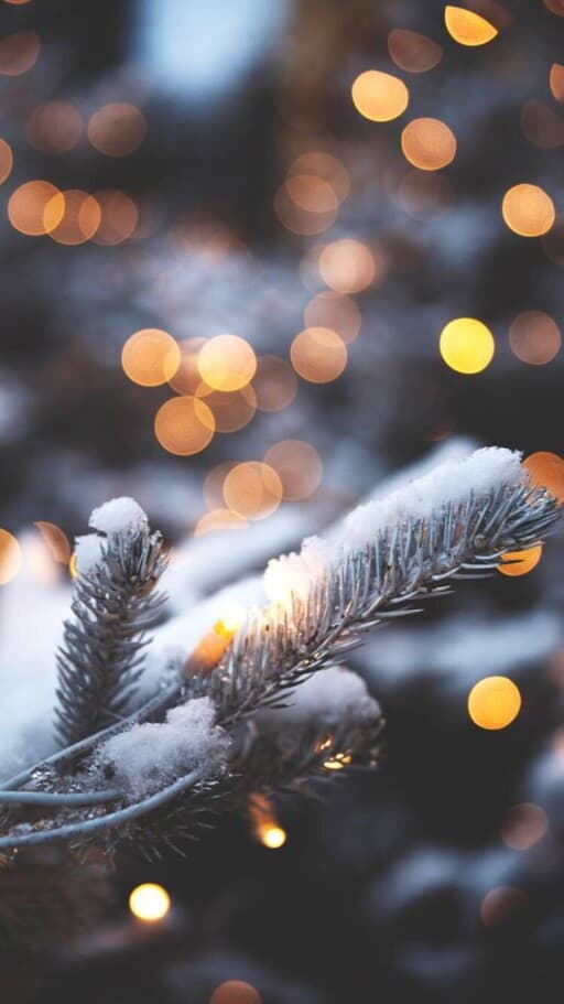 50+ Gorgeous Winter Wallpaper Downloads For iPhone FREE