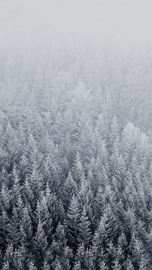 44 Winter iPhone Wallpaper Ideas - Winter Backgrounds [Free Download]