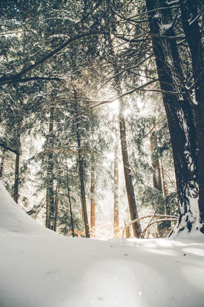 The best free winter wallpaper and winter backgrounds to download