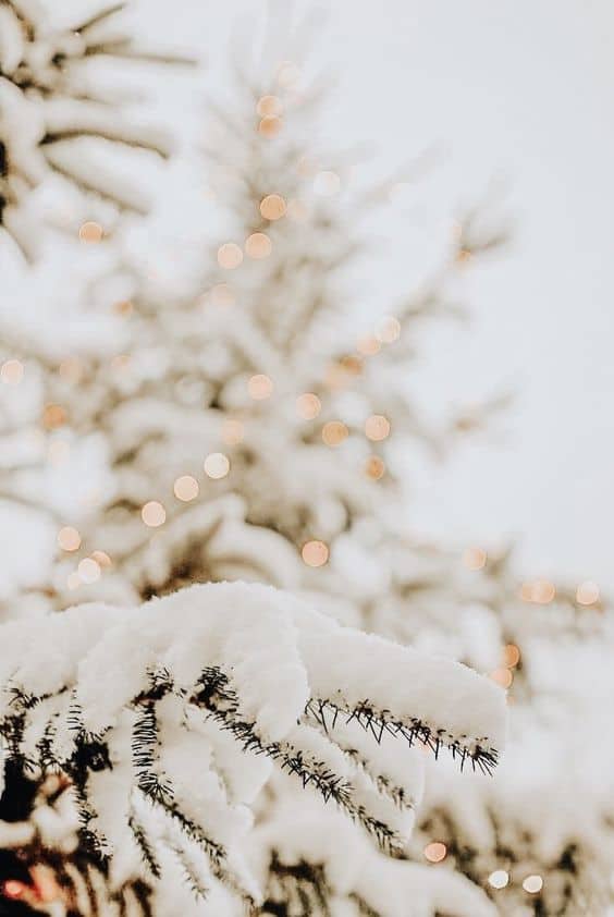 The 50+ Best Free Winter Wallpaper Downloads For iPhone