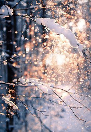 Winter Aesthetic iPhone 11 Wallpaper  Wallpaper HD 2023