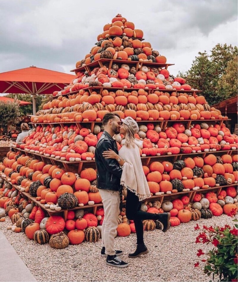 Couples fall photoshoot ideas | Couples photoshoot ideas for fall