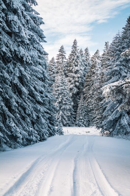 The best free winter wallpaper and winter backgrounds to download