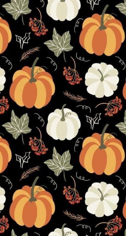 Spoonflower Fabric  Vintage Halloween Pumpkin Cat Spooky Style Orange  Printed on Lightweight Cotton Twill Fabric Fat Quarter  Sewing  Bottomweight Fashion Apparel Home Decor  Walmartcom