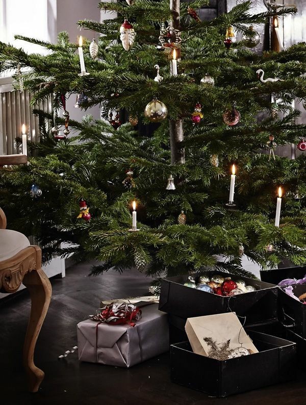 The best Christmas tree ideas and Christmas tree decorations to copy