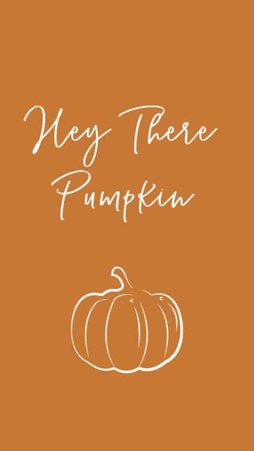 Download Cute Thanksgiving Orange Background Wallpaper  Wallpaperscom