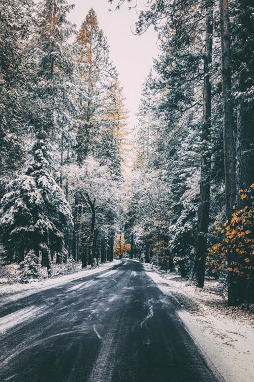 50+ Gorgeous Free Winter Wallpapers For IPhone (2023)