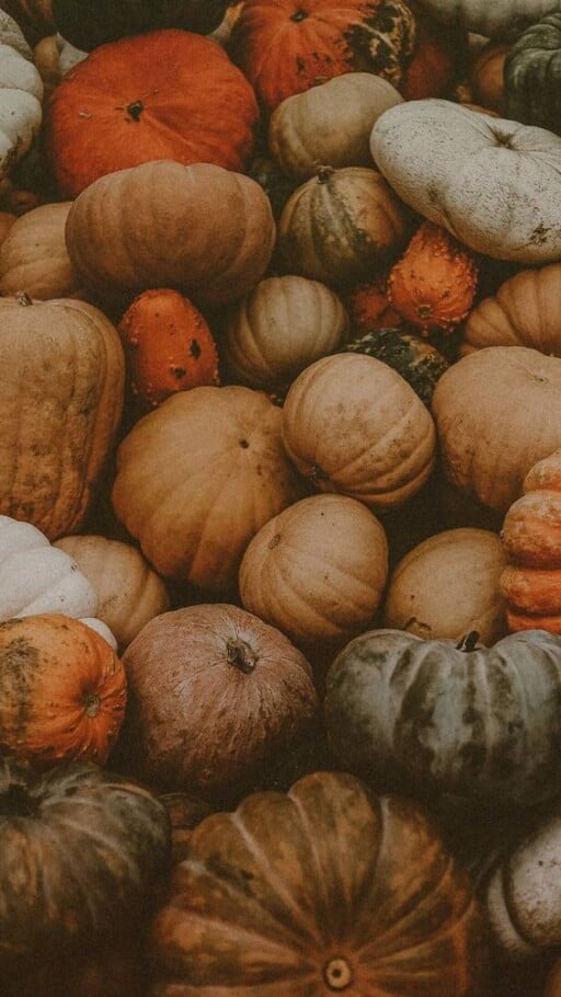 The best free thanksgiving wallpaper downloads for iPhone