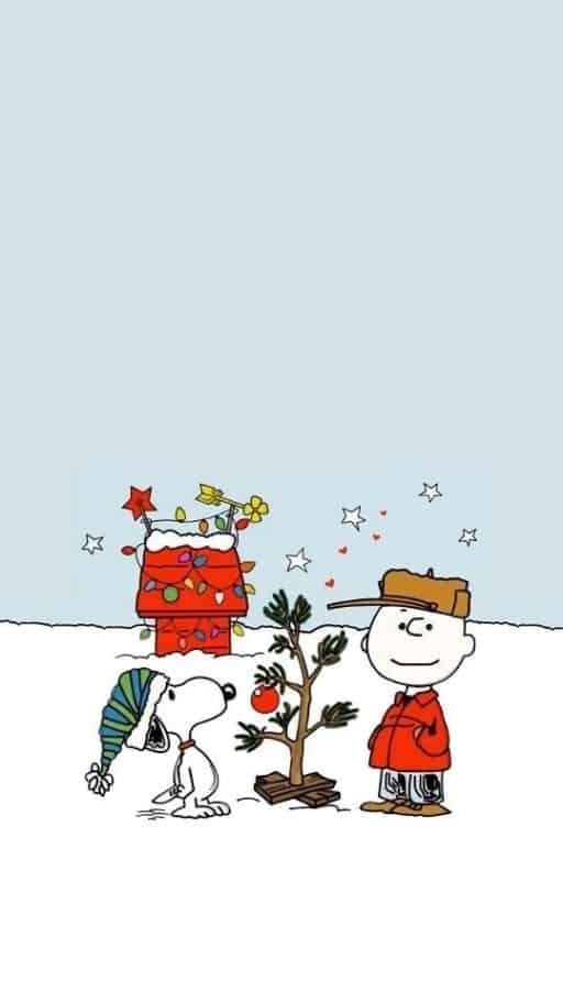 Snoopy Christmas Wallpapers  Top Free Snoopy Christmas Backgrounds   WallpaperAccess