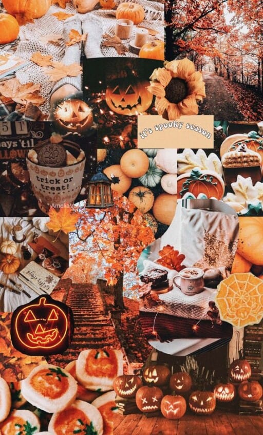 cute fall wallpaper