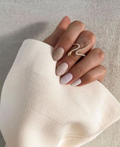 January Nail Inspo 2024 - Lisa Sheree