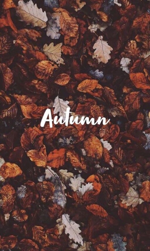 250 Favorite Fall Backgrounds For Your Phone That Youll Love