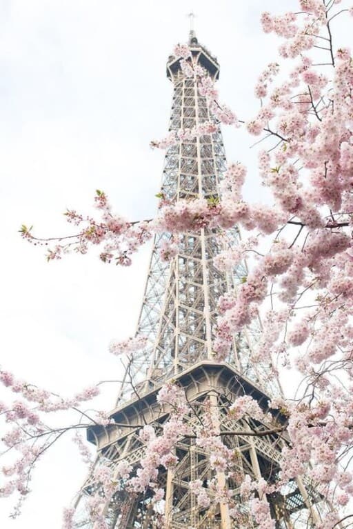 Romantic wallpapers for free download - The Eiffel Tower In Spring