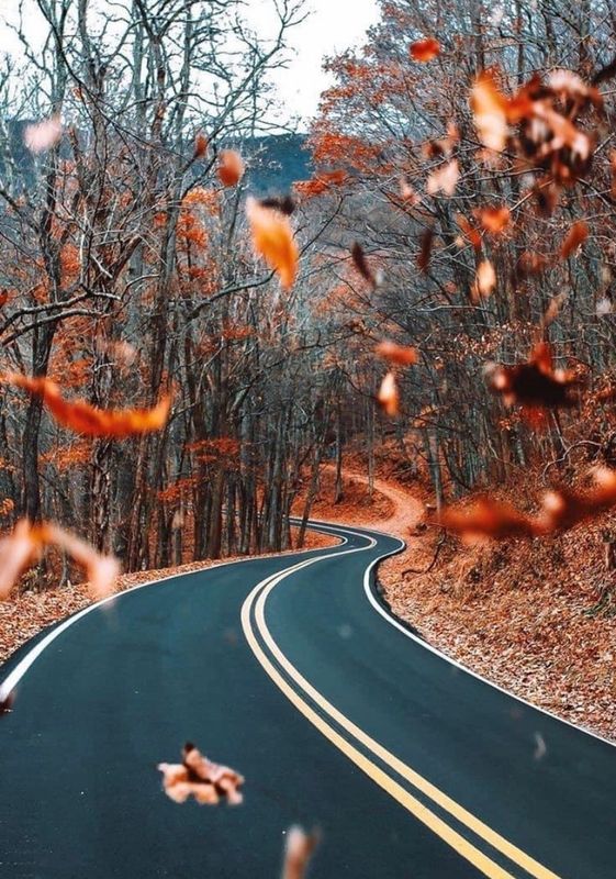 8 FREE Autumn / Fall Desktop Wallpapers — Life of Ellie Grace | Manchester,  UK Beauty, Lifestyle and Fashion Blog