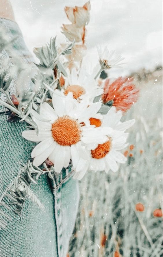 Free download 50 Spring Aesthetic Wallpaper For iPhone Free Download Kayla  564x979 for your Desktop Mobile  Tablet  Explore 50 Aesthetic Spring  iPhone Wallpapers  Spring iPhone Wallpaper iPhone Wallpaper Spring  Aesthetic iPhone Wallpaper