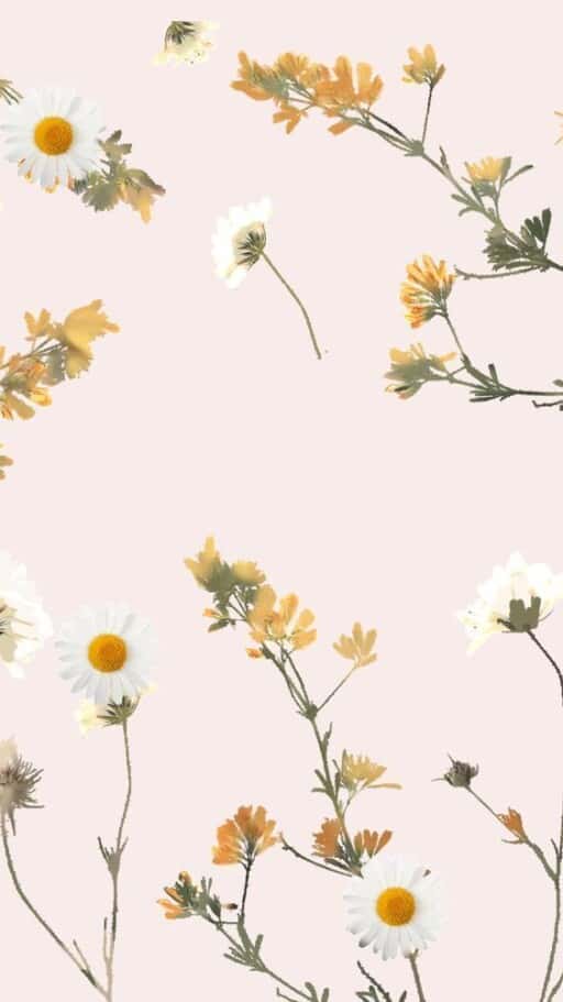 Spring Aesthetic Wallpaper - Cute Spring Background for Phone