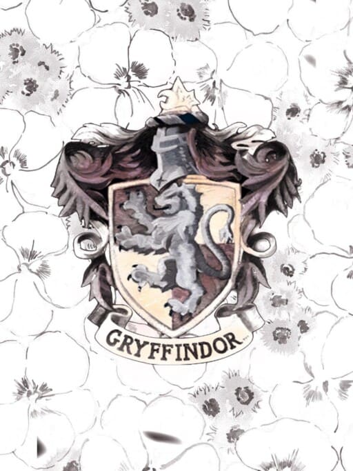 20 Amazing Gryffindor Backgrounds for your phone Prada  Pearls