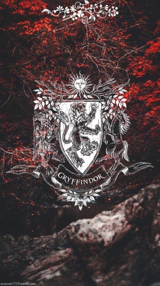 Gryffindor Crest posted by Samantha Sellers, gryffindor symbol HD phone  wallpaper | Pxfuel