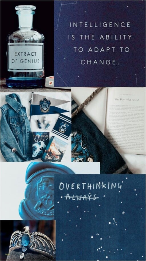 Featured image of post Ravenclaw Hogwarts Wallpaper Aesthetic - Rowling&#039;s writing on gilderoy lockhart, take the professor flitwick quiz and much more.