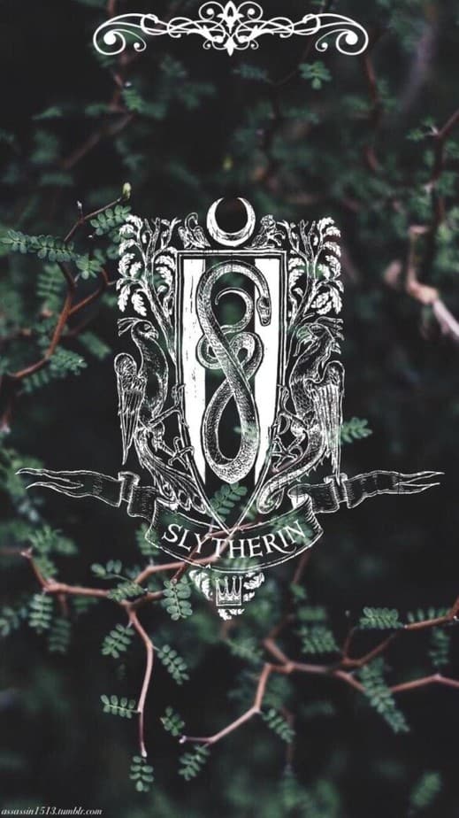 Slytherin Wallpaper | Top Free 30+ Slytherin Backgrounds | Slytherin