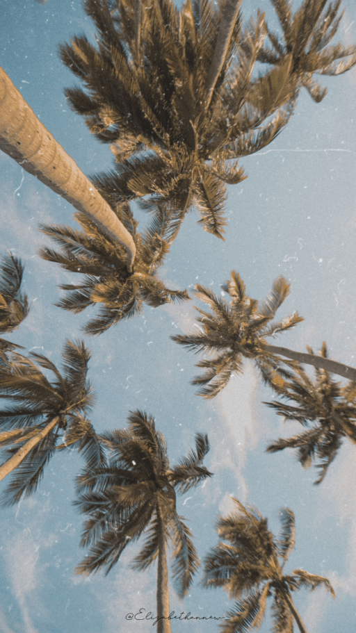 the best summer wallpaper backgrounds for iPhone | wallpaper for the summer aesthetic