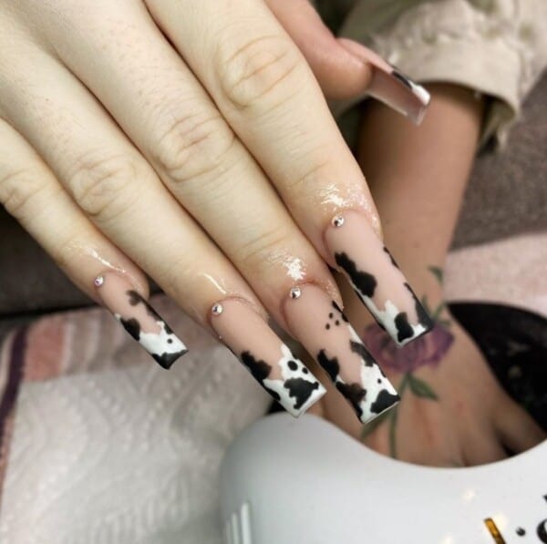 45+ Examples Of Ultra-Trendy Cow Print Nails