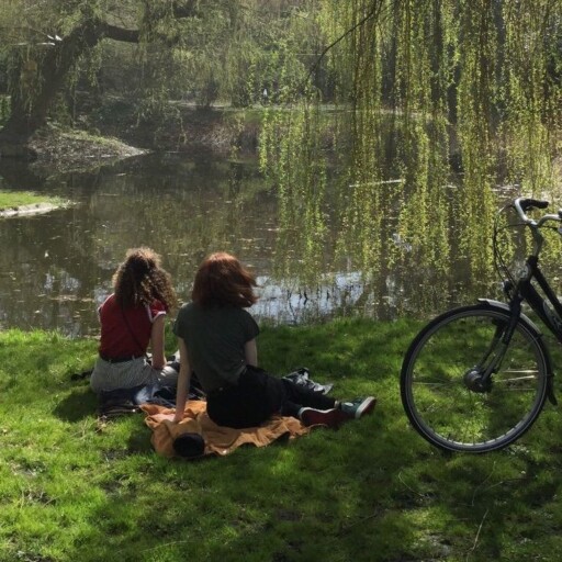 Picnic aesthetic photoshoot ideas with friends: Girls With Bike