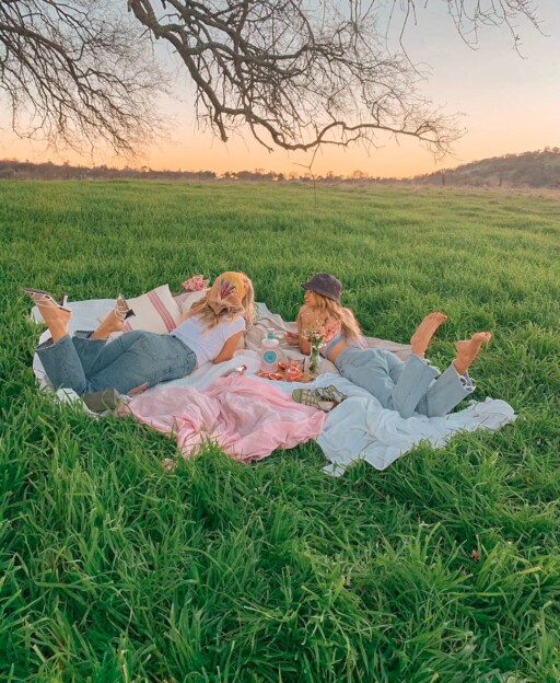 Picnic aesthetic photoshoot ideas with friends: Picnic In Jeans