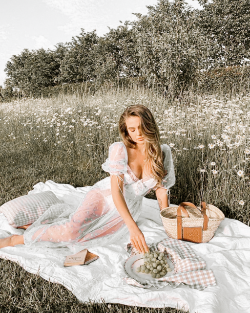 Picnic aesthetic photoshoot ideas: European Fields Picnic