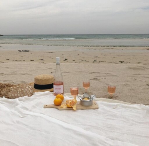 Picnic aesthetic photoshoot ideas: Rose On The Beach