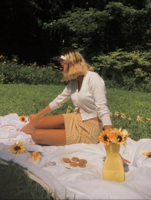 Picnic aesthetic photoshoot ideas: Yellow Checks & Sunflowers