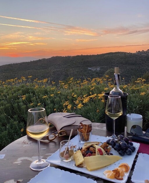 Picnic aesthetic photoshoot ideas for couples: Wine Country