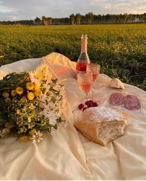 Picnic aesthetic photoshoot ideas: French Wine Afternoon Picnic